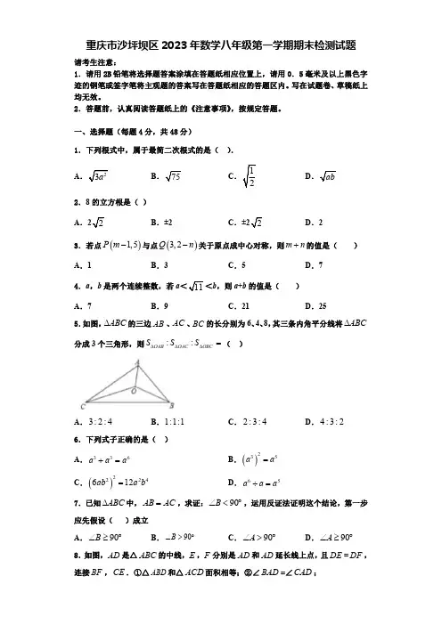 重庆市沙坪坝区2023年数学八年级第一学期期末检测试题【含解析】