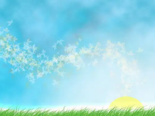 空间知觉PPT课件