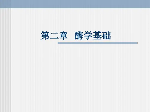 第二章  酶学基础