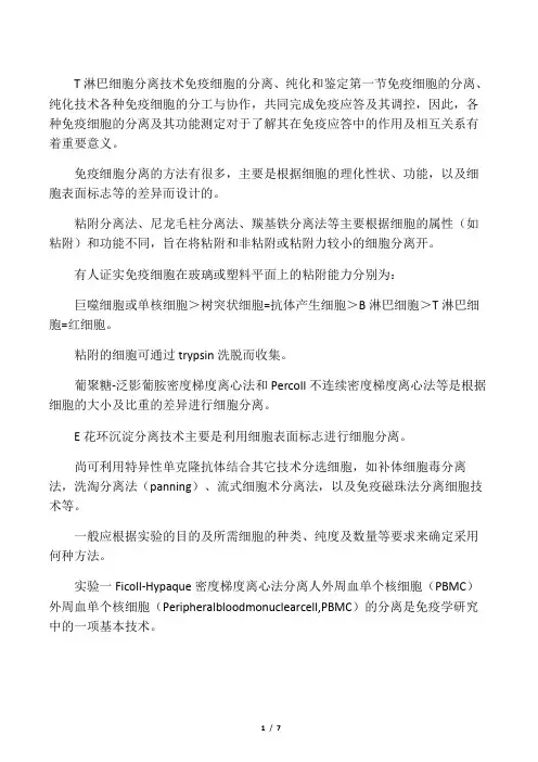 T细胞分离