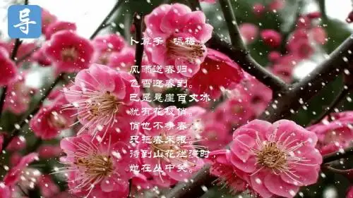 2019年秋最新部编版(统编版)四年级语文上册第9课古诗三首 《雪梅》卢钺公开课ppt课件