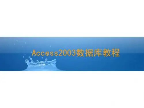 Access数据库2003教学课件-CH4