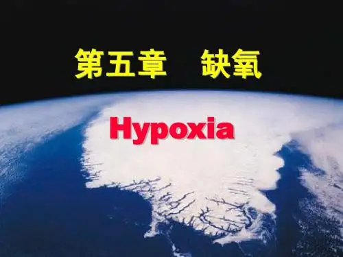 缺氧