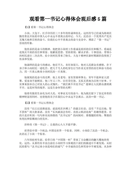 观看第一书记心得体会观后感5篇