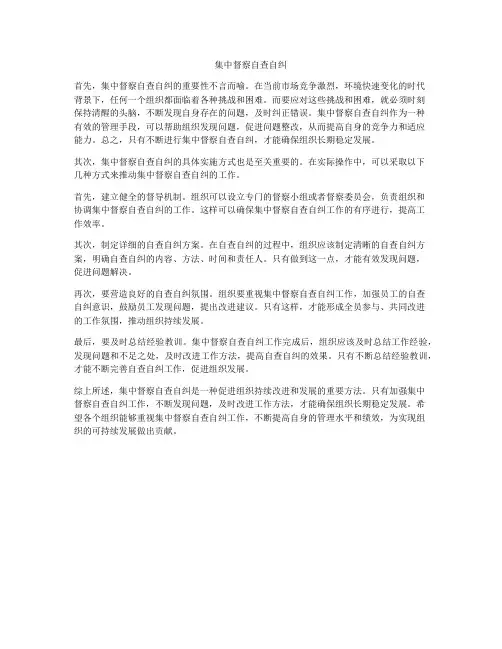 集中督察自查自纠
