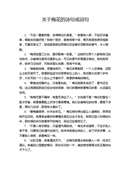 关于梅花的诗句或词句