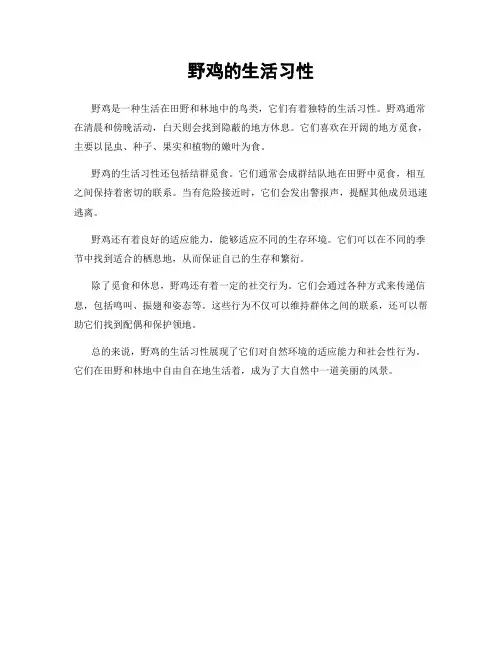 野鸡的生活习性