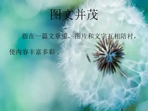图文并茂课件ppt