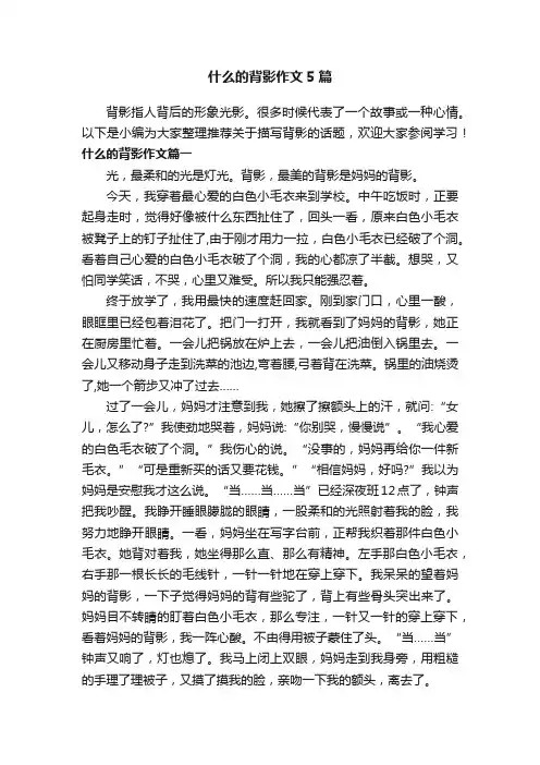 什么的背影作文5篇