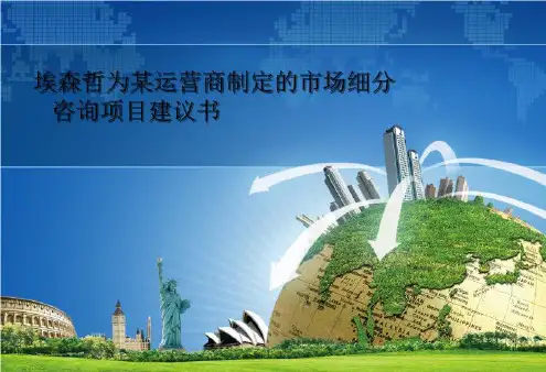 埃森哲为某运营商制定的市场细分咨询项目建议书-文档