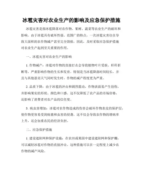 冰雹灾害对农业生产的影响及应急保护措施