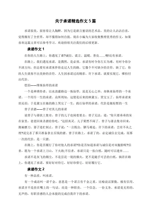 关于承诺精选作文5篇