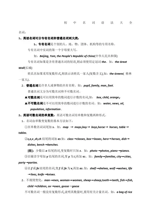 初中名词语法大全