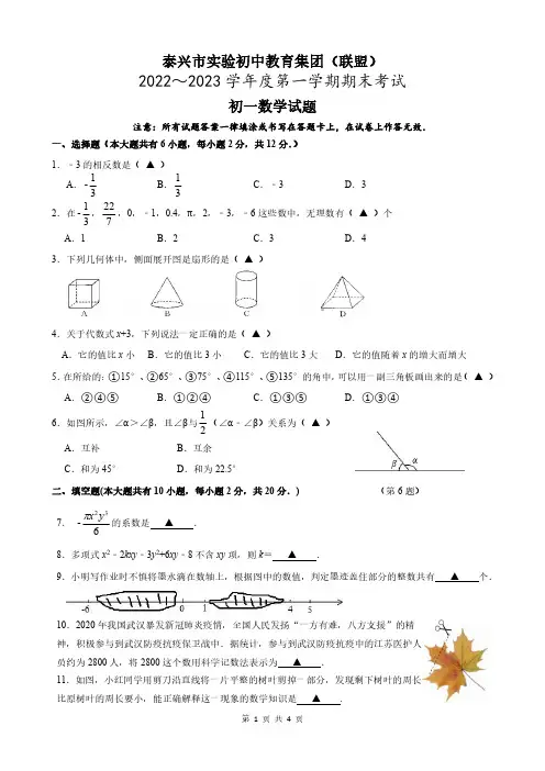 2022-2023学年实验初中七年级(上)期末数学试题