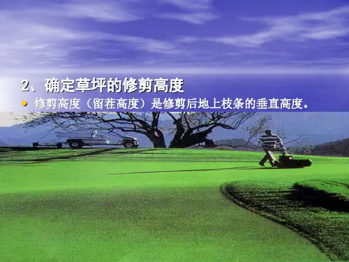草坪修剪高度