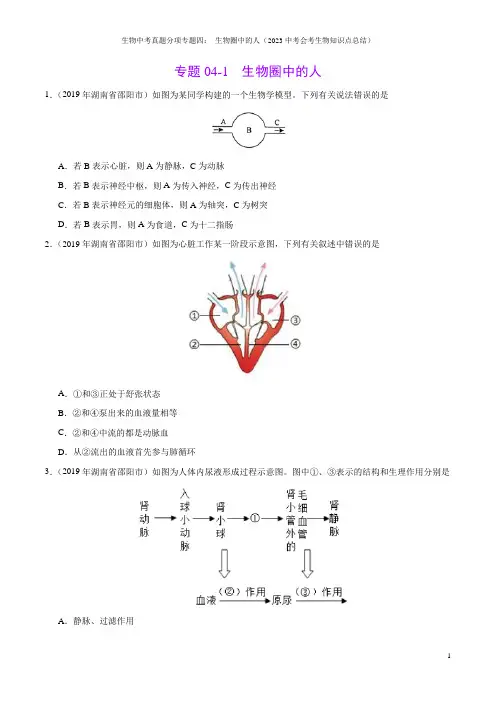 生物中考真题分项专题四： 生物圈中的人(2023中考会考生物知识点总结)