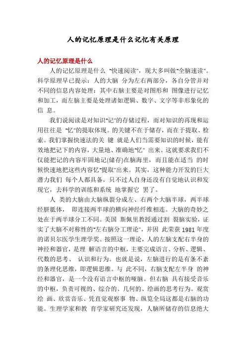 人的记忆原理是什么记忆有关原理