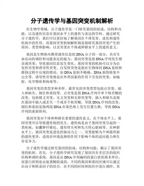 分子遗传学与基因突变机制解析