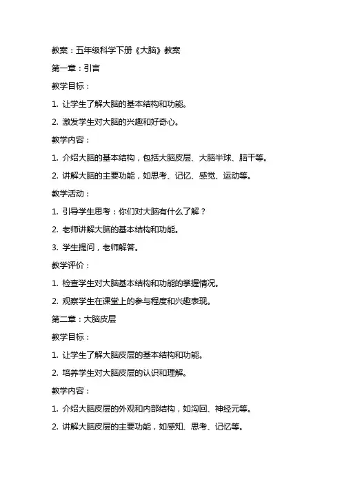 五年级科学下册《大脑》教案