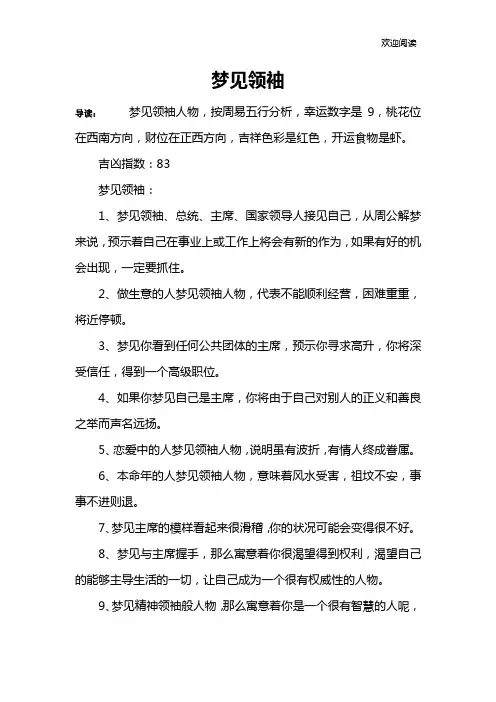 梦见领袖
