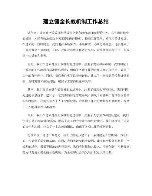 建立健全长效机制工作总结