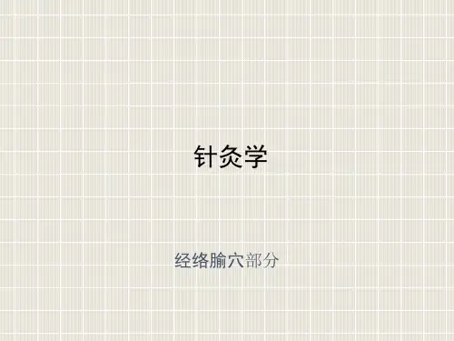 0针灸学经络总论109