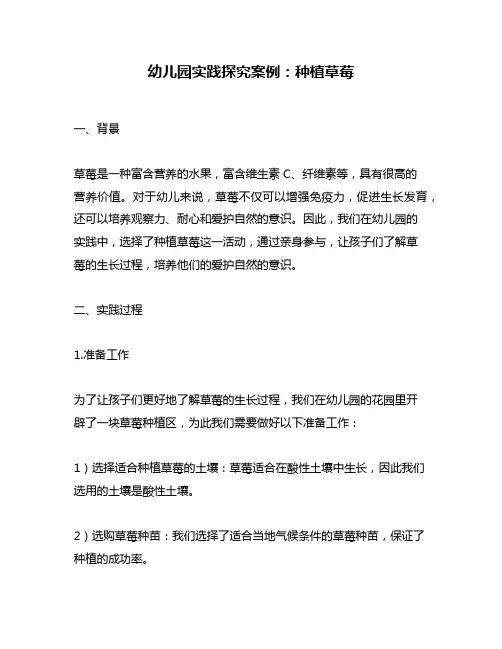 幼儿园实践探究案例：种植草莓