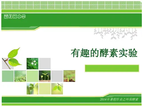 有趣的酵素实验 ppt课件