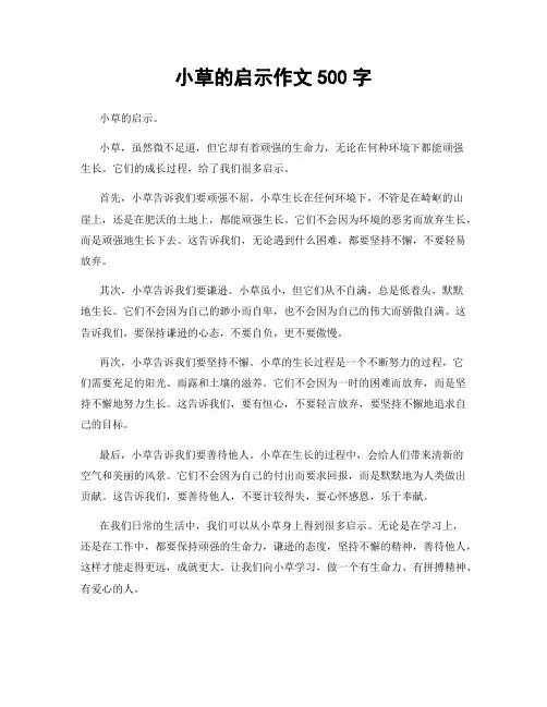 小草的启示作文500字