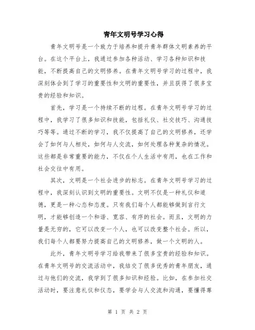 青年文明号学习心得