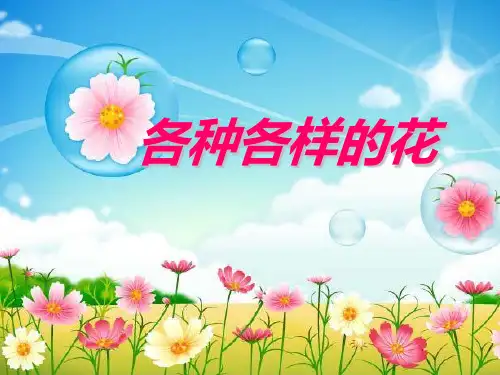 四年级下 各种各样的花教科版实用PPT (共43张PPT)