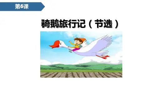 《骑鹅旅行记》PPT精品课件