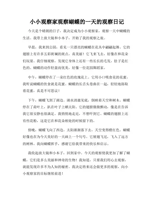 小学三年级作文小小观察家观察蝴蝶的一天的观察日记