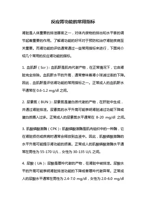反应肾功能的常用指标
