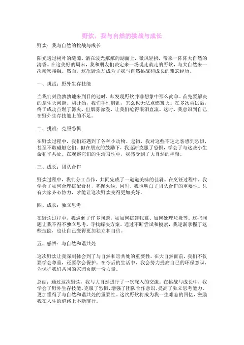 野炊,我与自然的挑战与成长