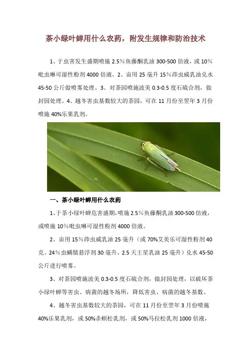 茶小绿叶蝉用什么农药,附发生规律和防治技术