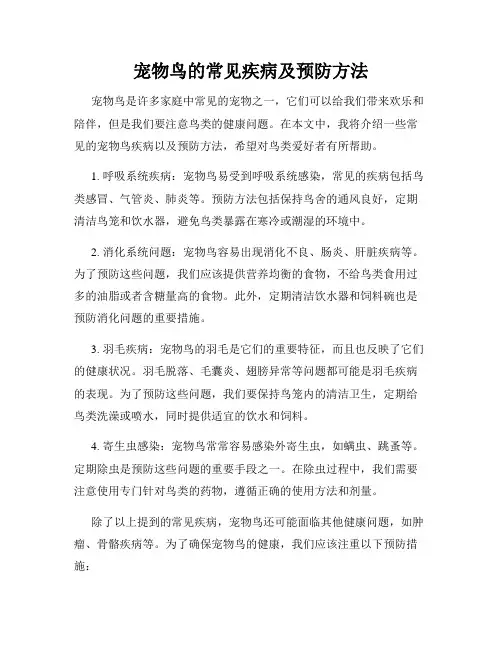 宠物鸟的常见疾病及预防方法