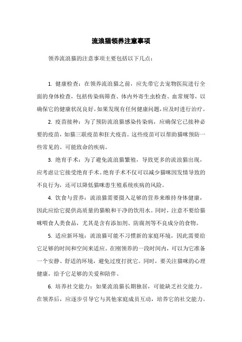 流浪猫领养注意事项