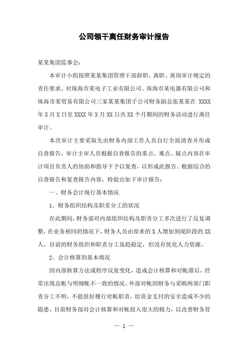 公司领导干部离任财务审计报告