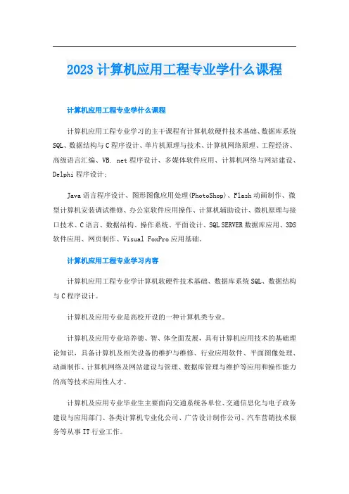 2023计算机应用工程专业学什么课程