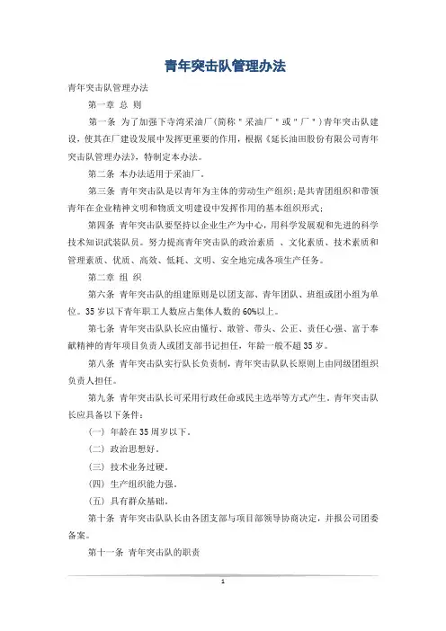 青年突击队管理办法