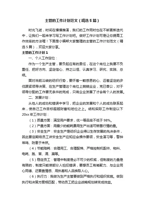 主管的工作计划范文（精选5篇）