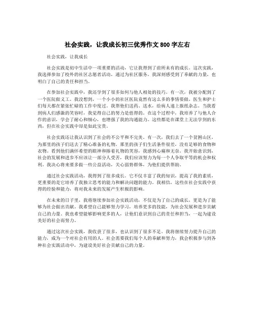 社会实践,让我成长初三优秀作文800字左右