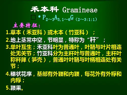 药用植物学课件15第十一章单子叶