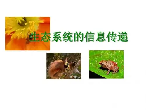 人教版高中生物必修三第五章第4节《生态系统的信息传递》优秀课件 (共32张PPT)