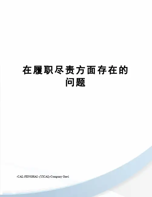 在履职尽责方面存在的问题