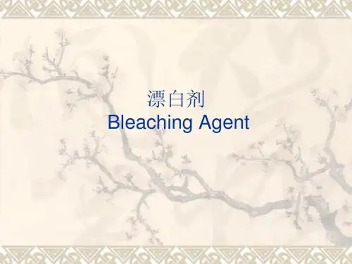 漂白剂(Bleaching Agents)