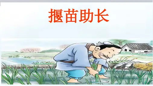 《揠苗助长》