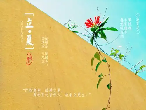 长江流域的治理PPT课件