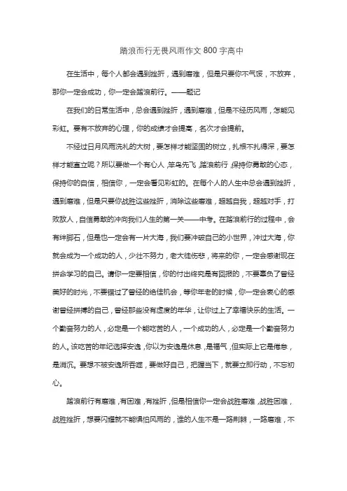 踏浪而行无畏风雨作文800字高中
